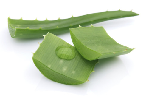 pokožka-aloe-vera